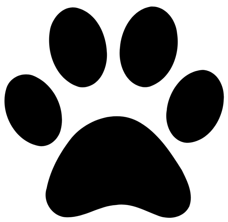 Mirci
